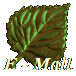 E - Mail